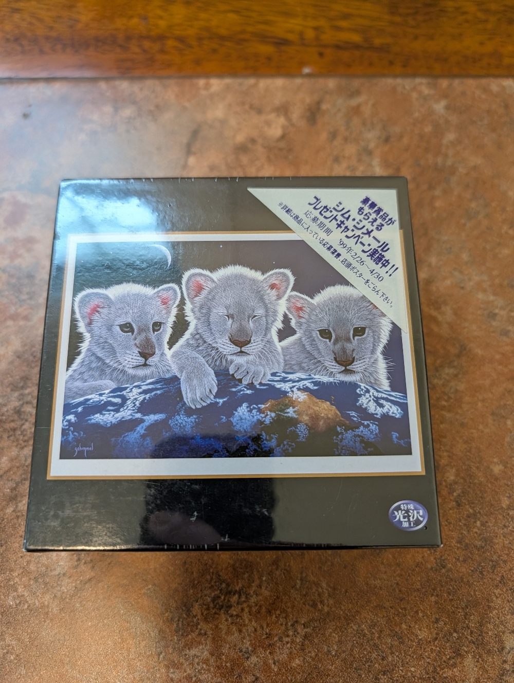 Schim Schimmel Secret Mystery and Hope Jigsaw Puzzle 108 Pieces Small Puzzle